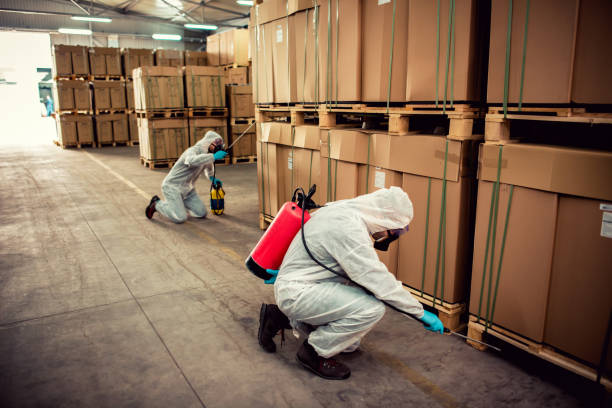 Best Pest Inspection Near Me  in Beachwood, NJ