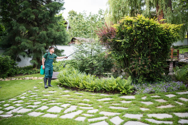 Best Affordable Pest Control Services  in Beachwood, NJ