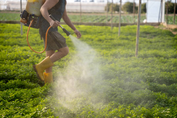 Best Affordable Pest Control Services  in Beachwood, NJ