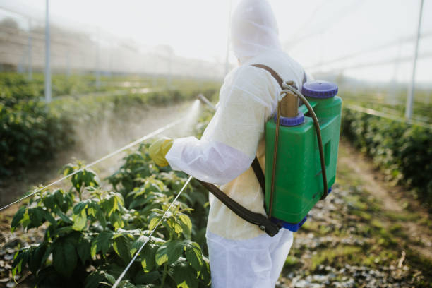Best Pest Prevention Services  in Beachwood, NJ
